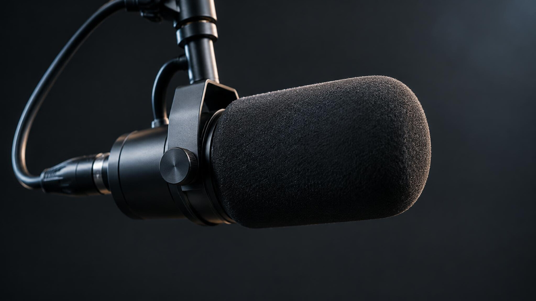 Professional microphone for sound checks